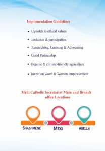 Guías de implementación